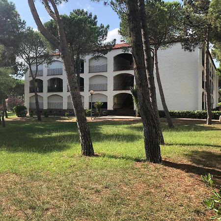 Studio 150M De La Mer Argelès-sur-Mer Exterior foto